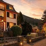 Ardoise Direkt An Der Mosel Zwischen Cochem Und Koblenz Villa Brodenbach