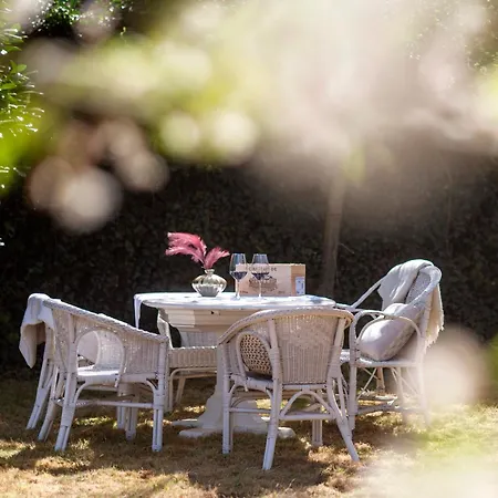 Ardoise Direkt An Der Mosel Zwischen Cochem Und Koblenz