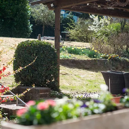 Ardoise Direkt An Der Mosel Zwischen Cochem Und Koblenz * Brodenbach