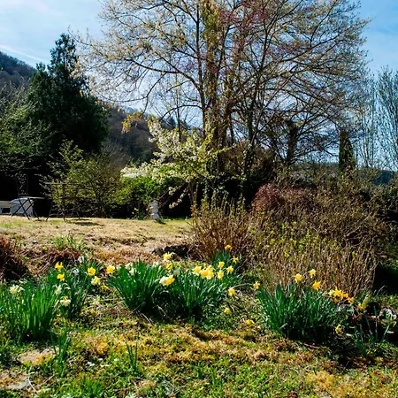 Villa Ardoise Direkt An Der Mosel Zwischen Cochem Und Koblenz *