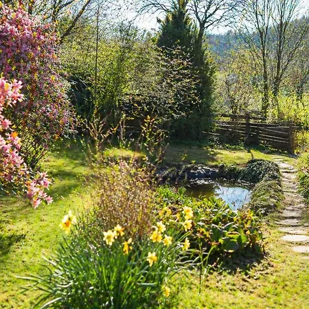 Ardoise Direkt An Der Mosel Zwischen Cochem Und Koblenz Villa Brodenbach
