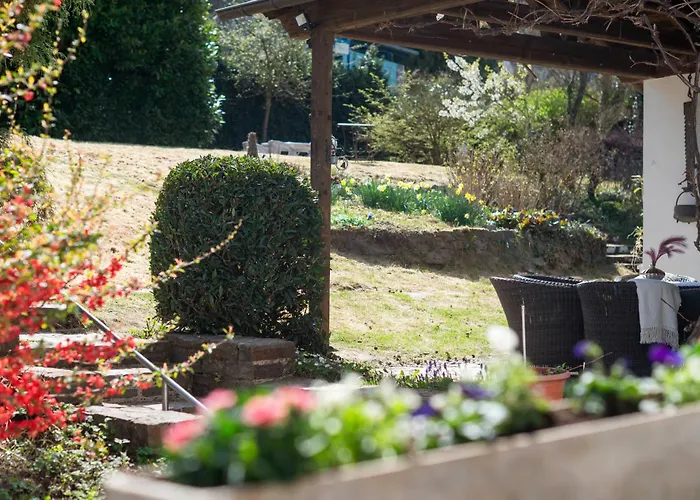 Ardoise Direkt An Der Mosel Zwischen Cochem Und Koblenz * Brodenbach