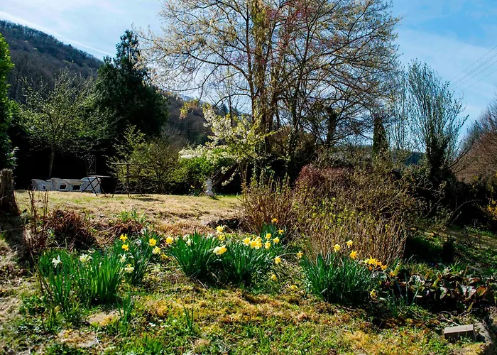 Villa Ardoise Direkt An Der Mosel Zwischen Cochem Und Koblenz *