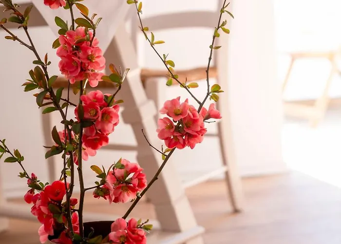 Villa Ardoise Direkt An Der Mosel Zwischen Cochem Und Koblenz